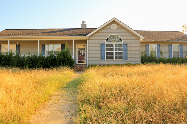 A boarded up and overgrown house in a Jacksonville neighborhood