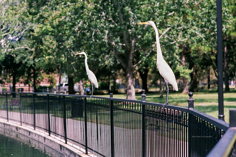 Children playing at a riverfront park playground